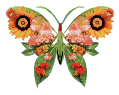 Бабочка цветочная