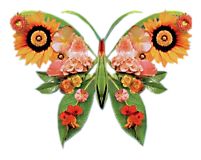 Бабочка цветочная